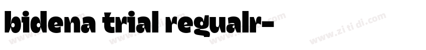 bidena trial regualr字体转换